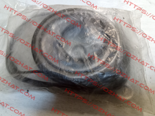 ARS/ARSW Seal Kit Brevini
