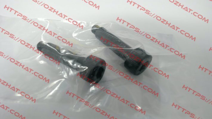 C62175 Coremo