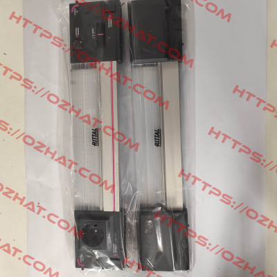 SZ 2500.310 Rittal