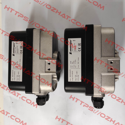 MZ310.B Elektrogas