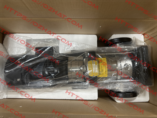 MSVF3-60 Rae Pumps