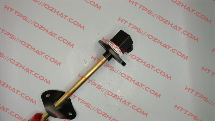 SSM.1.B5.180.5.S1 Engler