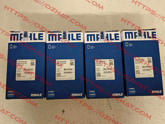 029 WV 20 00 MAHLE