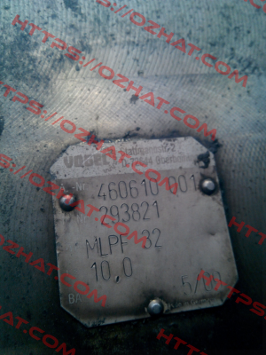 293821 Vogel