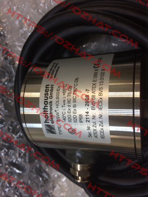 ESW®-Compact-EX-001 (hol600/EX) HOLTHAUSEN ELEKTRONIK