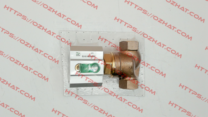 G1018224SC Pneumax