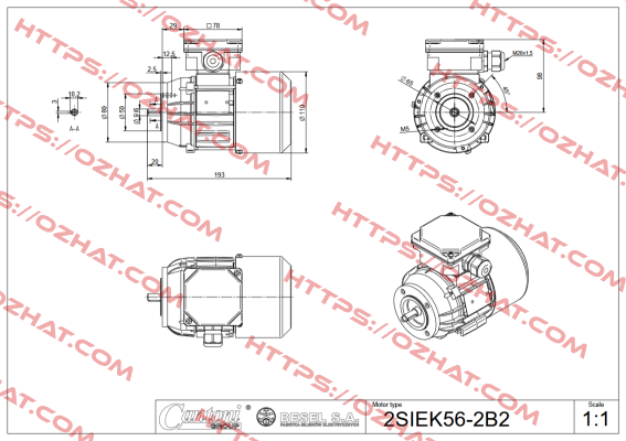 2SIEK56x-4C2 BESEL S.A.
