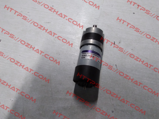 E192.24.13 Micro Motors