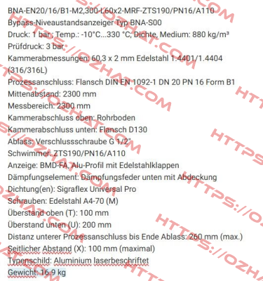 BNA-EN20/16/B1-M2,300-L60x2-MRF-ZTS190/PN16/A110 Ksr Kuebler