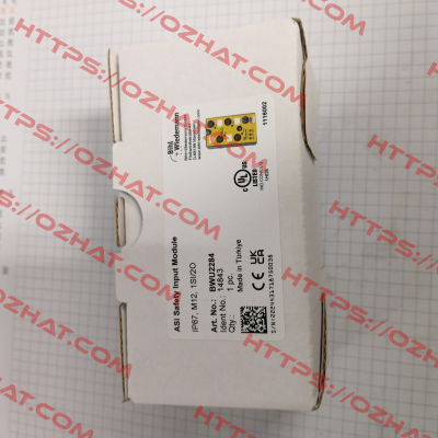 BWU2284 Bihl Wiedemann