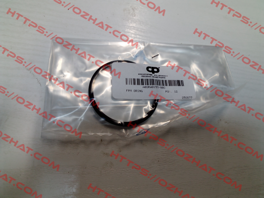A0ORW0153/00O POMPE CUCCHI SRL