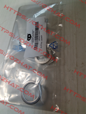 V0RAA23X00017 POMPE CUCCHI SRL