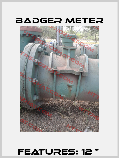 FEATURES: 12 "  Badger Meter