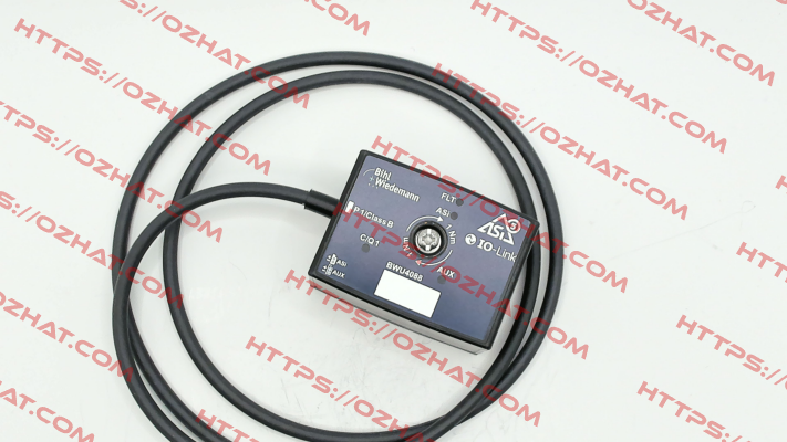 BWU4088 Bihl Wiedemann