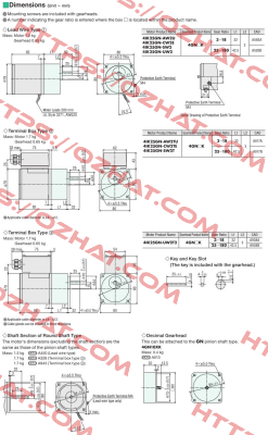 4IK25GN-SW2 / 4GN15K Oriental Motor