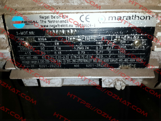 DMA2 G3G4  Marathon (Regal)