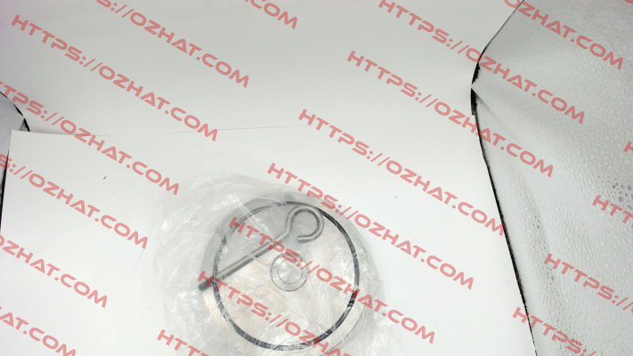 365065/STAINLESS STEEL CHECK V. 365 PN16 DN65 Sferaco