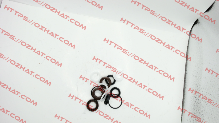 KIT273 for E2D2016 Interpump