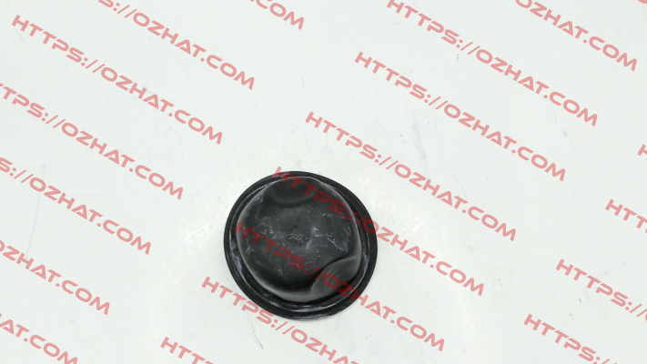 A04246874 MAHLE