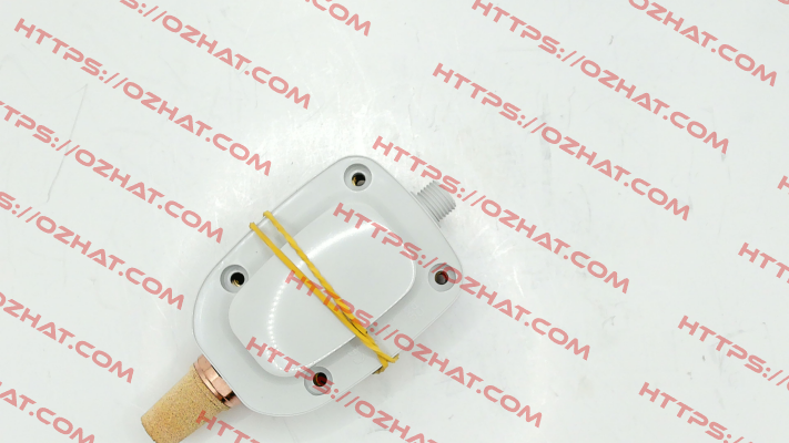 XH20P-01000 -10184 Dixell