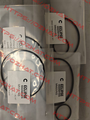 MM20/NS Eclipse Magnetics
