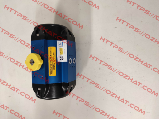 BR03-SAF / 166705 AMG Pesch