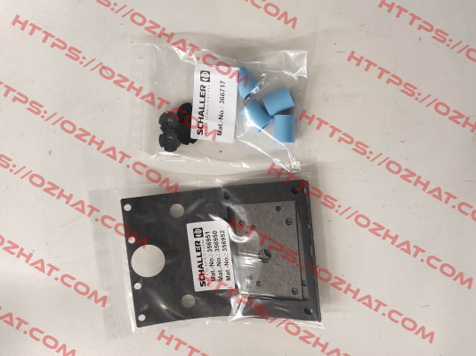 155006 Schaller Automation