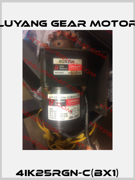 4IK25RGN-C(BX1) Luyang Gear Motor