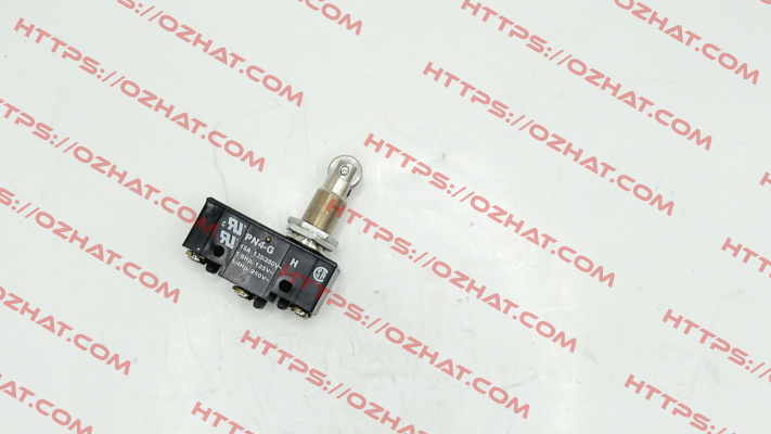 PN4G (9001892) Saia-Burgess