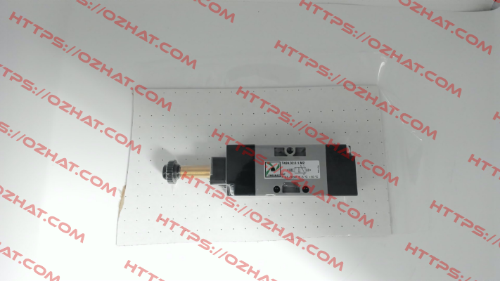 T424.32.0.1.M2 Pneumax