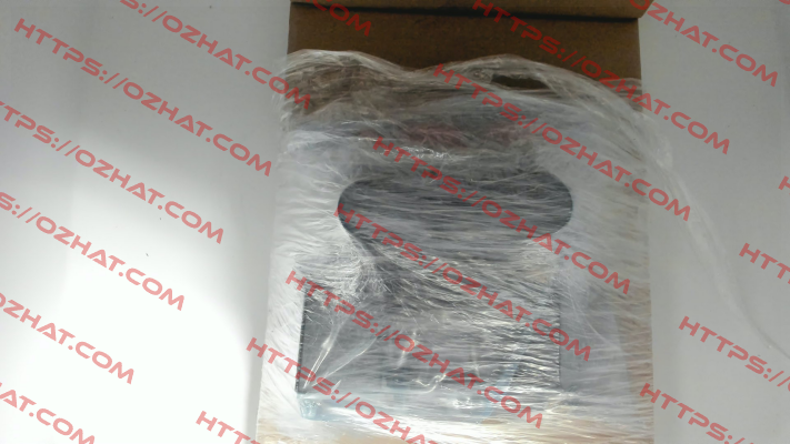 WE255-4R100Z24/0H Voith