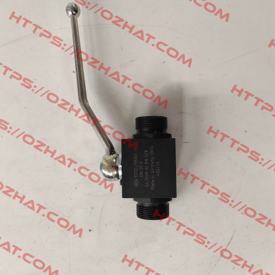 100015    BKH 25S 20 11111 PN420 Rotelmann