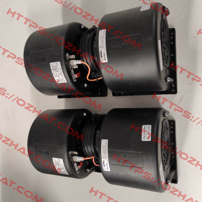 015-B46-22 24V GR RP SPAL