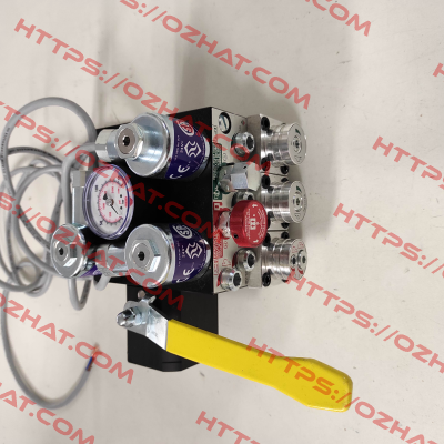 102322 / 0.75" EV 10 Blain Hydraulics
