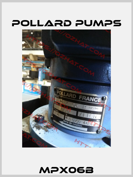 MPX06B Pollard pumps