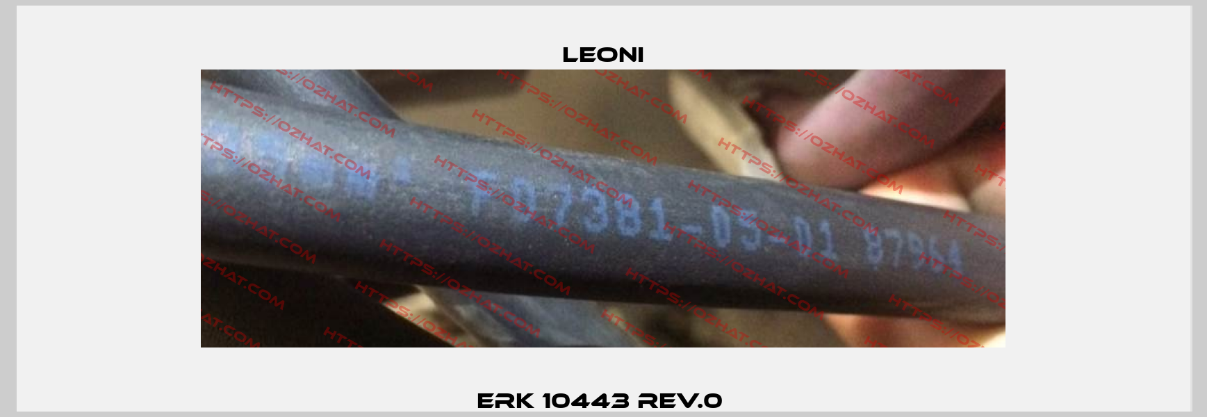 ERK 10443 REV.0  Leoni