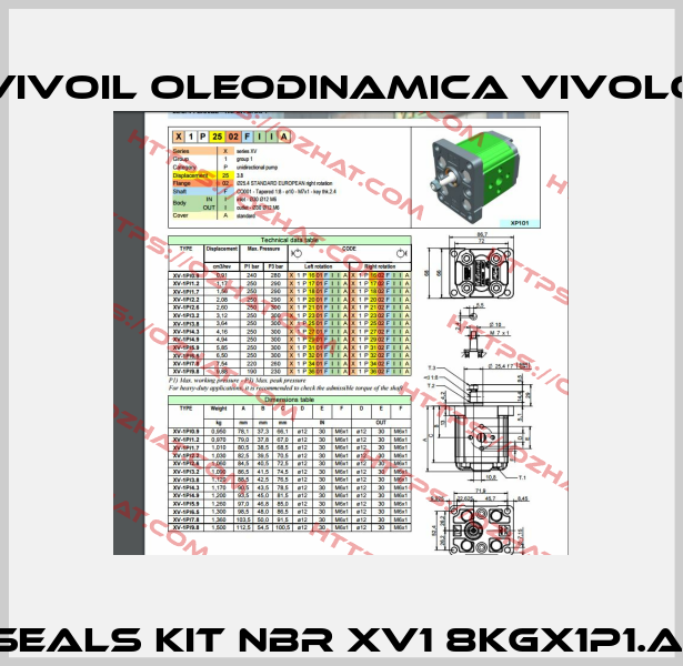 Seals kit NBR XV1 8KGX1P1.A  Vivoil Oleodinamica Vivolo