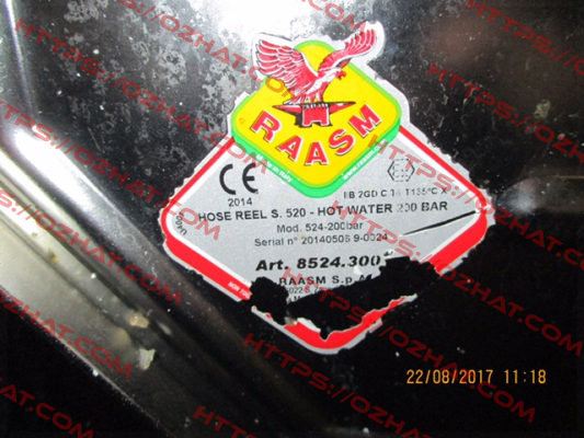 8524.300 Raasm