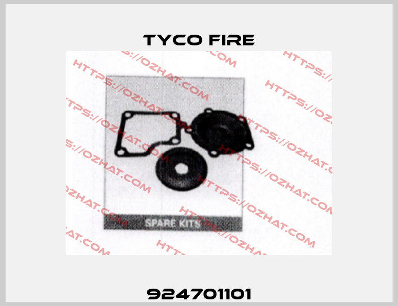 924701101 Tyco Fire