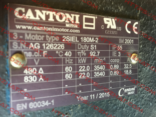 2SIEL 180M-2 22kW B3/B5 400/690V-50Hz IE2  Cantoni