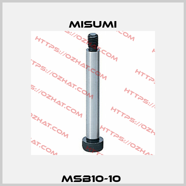 MSB10-10  Misumi