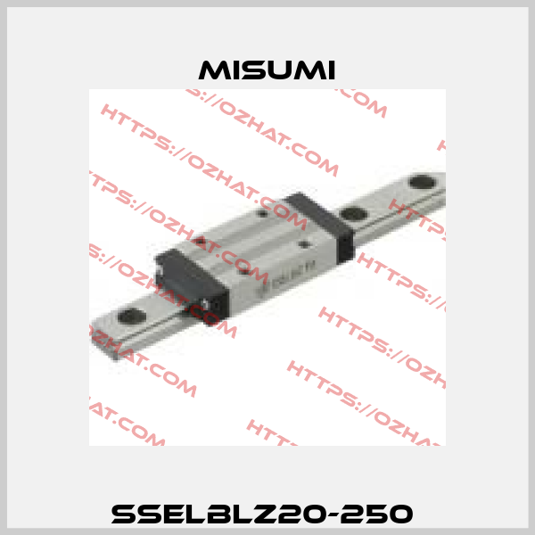 SSELBLZ20-250  Misumi