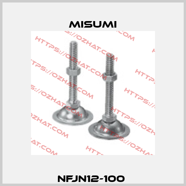 NFJN12-100  Misumi