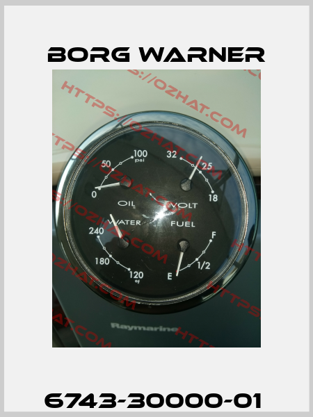 6743-30000-01  Borg Warner
