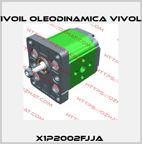 X1P2002FJJA  Vivoil Oleodinamica Vivolo