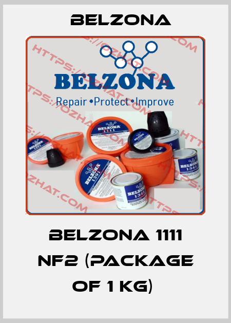 Belzona 1111 NF2 (package of 1 kg)  Belzona