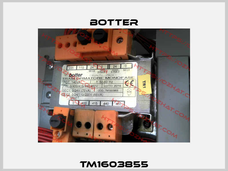 TM1603855 Botter