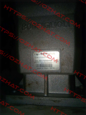 2EA 702520003 Bonfiglioli
