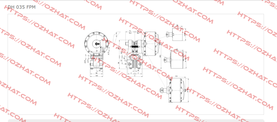 DH 035 FPM-122R-12  Ringspann