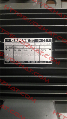 AGM2E 132 S4  Gamak